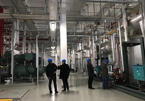 約克冷凍食品解決方案