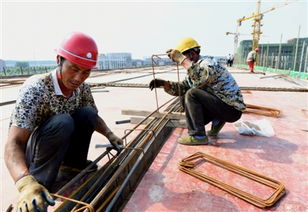 聚一蝦整肢蝦生產項目進展順利，建筑智能化系統設計助力高效試生產